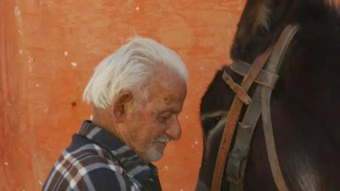 Ο Κατσαούνης και ο Γαϊδαρός του