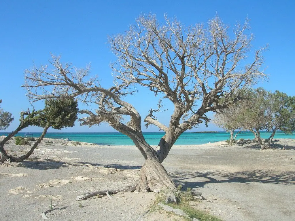 elafonisi-5