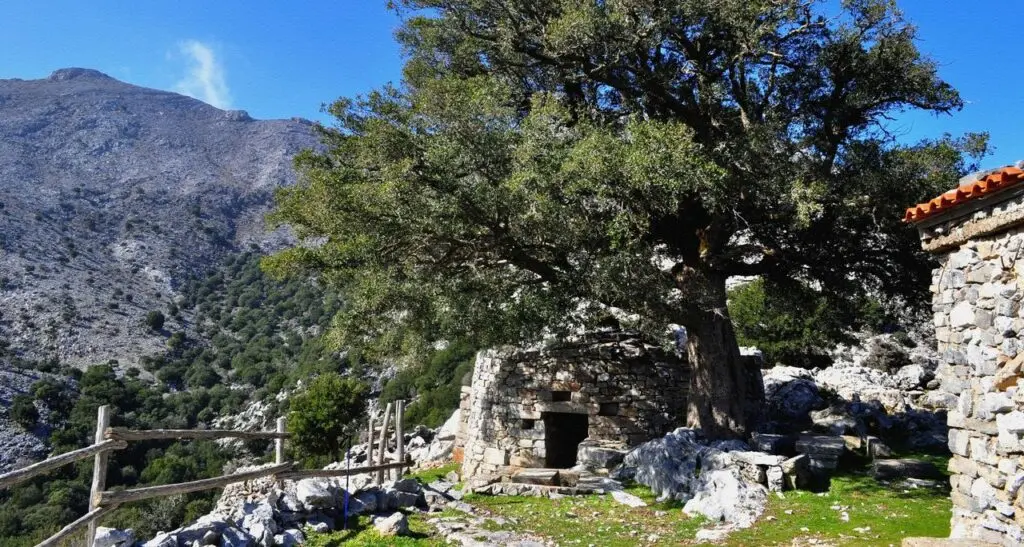 Μιτάτο