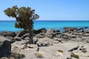 Παραλία Κεδρόδασος - Κρήτη