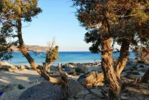 Παραλία Κεδρόδασος - Κρήτη