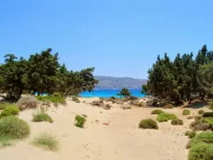 Παραλία Κεδρόδασος - Κρήτη