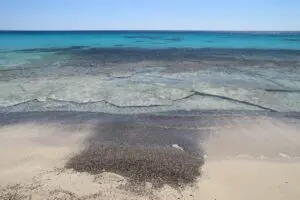 Παραλία Κεδρόδασος - Κρήτη