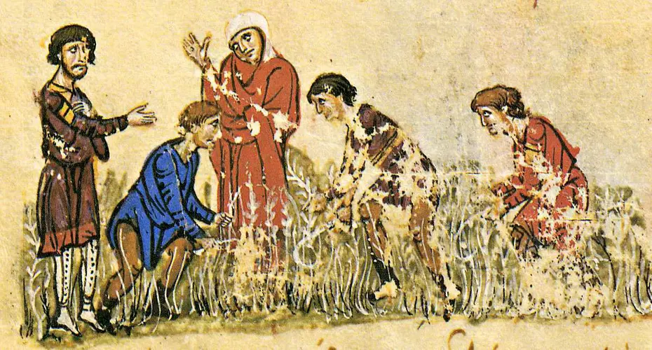 Η γη και οι αγρότες στη μεσαιωνική Κρήτη