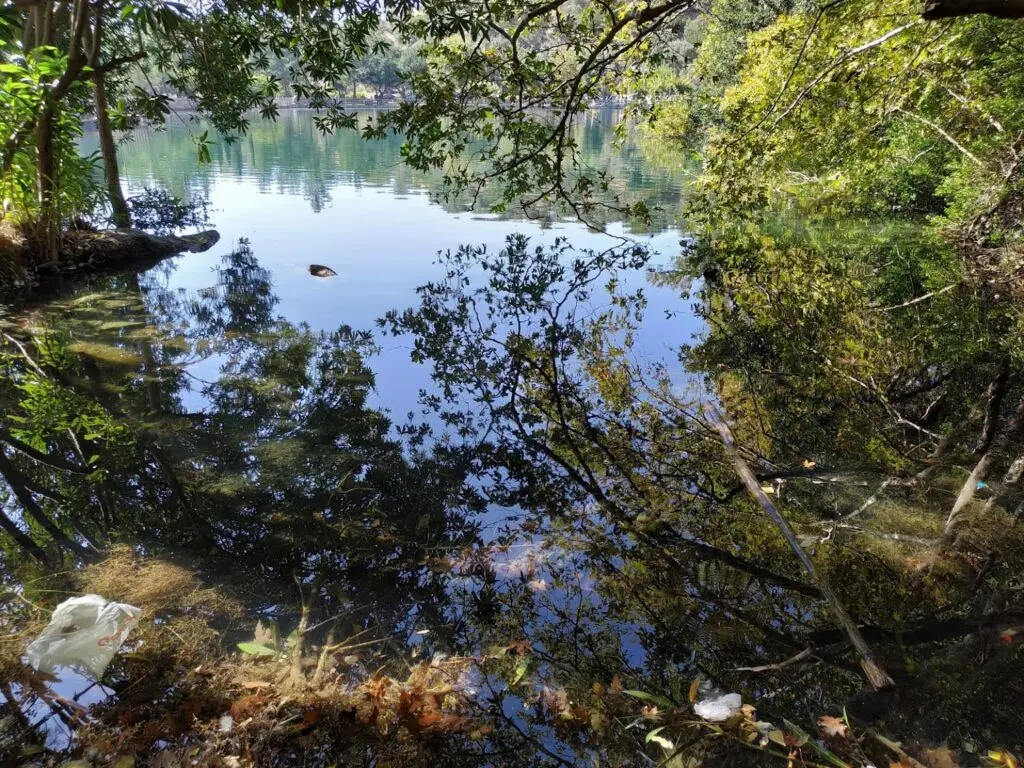 Λίμνη Ζαρού. Βόλτα σε ένα ειδυλλιακό τοπίο