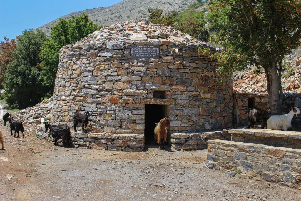 Μιτάτα: Τα ιγκλού του Ψηλορείτη που ζουν και εργάζονται οι βοσκοί