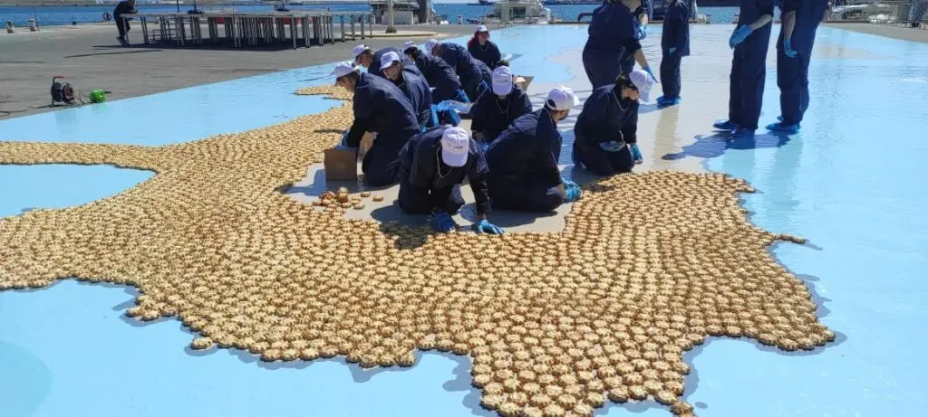 Ρεκόρ Γκίνες στο Ηράκλειο με 32.000 καλιτσούνια που έφτιαξαν τον χάρτη της Κρήτης