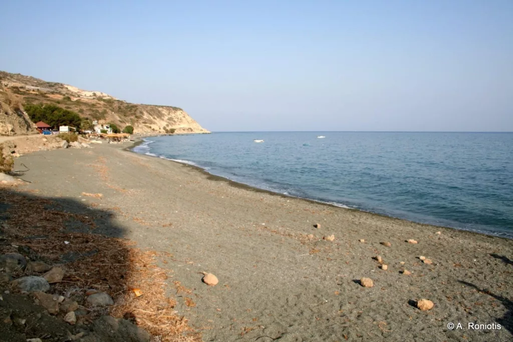 Παραλία Τέρτσα