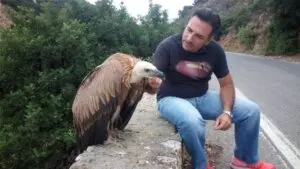 Μια "σκάρα" στο Λασίθι αγκάλιασε με τα φτερά της ένα ζευγάρι που της έδωσε νερό